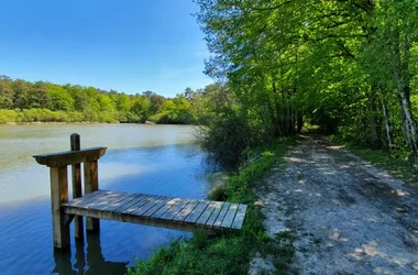 Sentier des étangs