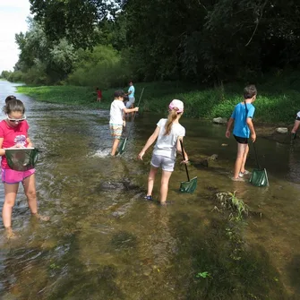 Le monde extraordinaire des petites bêtes avec la Maison de la Loire