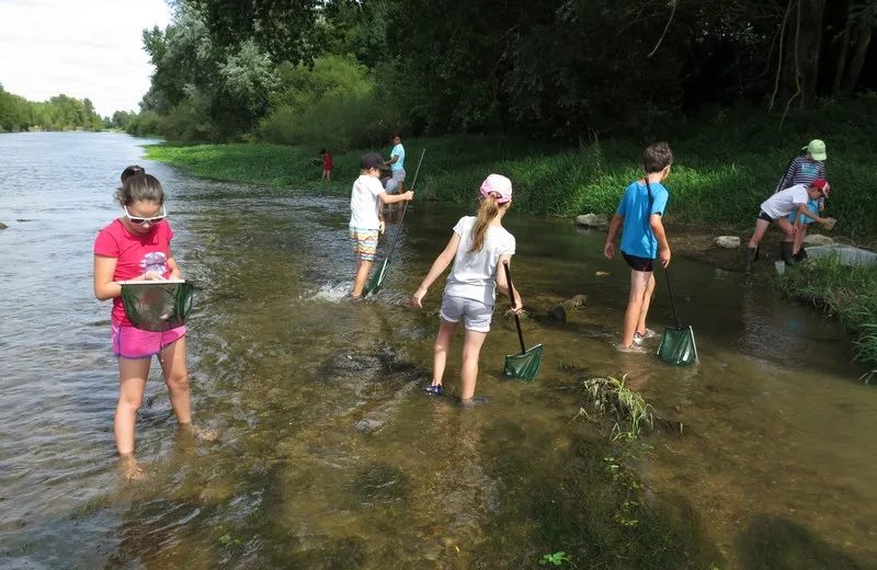 Le monde extraordinaire des petites bêtes avec la Maison de la Loire