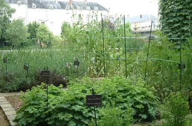 Musée de la chemiserie et de l’élégance masculine et son jardin textile