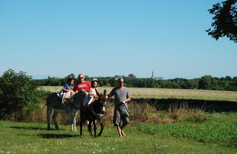 Balade nature avec un âne