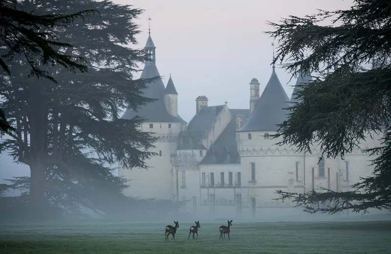 Rêve d’antan – Noël au Domaine de Chaumont-sur-Loire