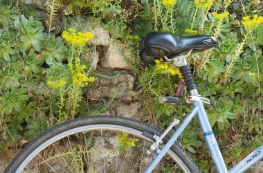 Fête du vélo – une Echappée en Centre-Val de Loire