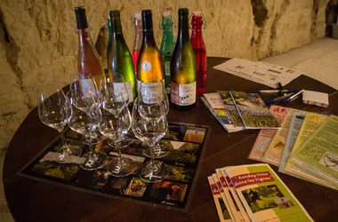 De la vigne au verre de vin