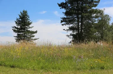 Espace naturel sensible des Dolines de Limère