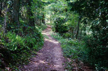 Circuit VTT n°5 : De plaines en fond de vallée