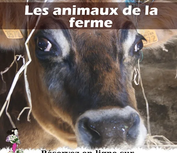 Atelier découverte : Les animaux de la ferme Du 25 au 30 oct 2024