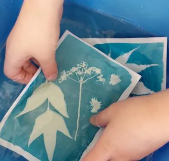 Atelier cyanotype « L’herbier photographique » – En famille