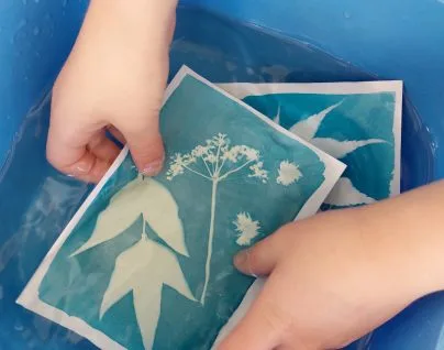 Atelier cyanotype « L’herbier photographique » – En famille