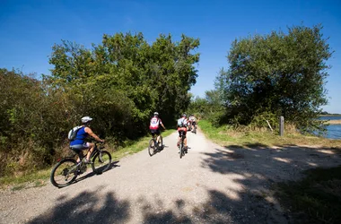 Circuit VTT – De la forêt de Lancosme aux étangs