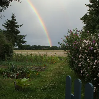 Petit Gîte – Chez Laurette