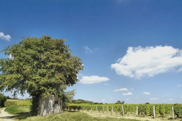 Chais du Val de Loire