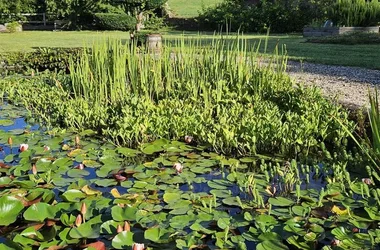 Le Lodge 18 – Hébergement insolite sous tente