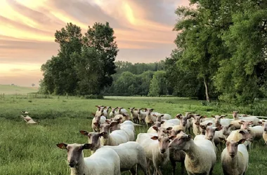 Dégustation de Fromage, Vin & Bière / Journée à la ferme – Geoffrey Nivard