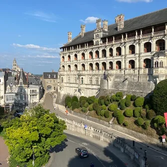 Etats Généraux, Suites de Blois