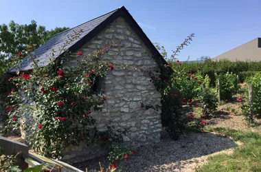 Jardins Labyrinthe de Vignes