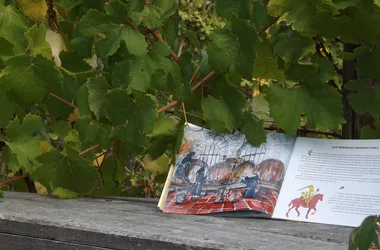 Jardins Labyrinthe de Vignes