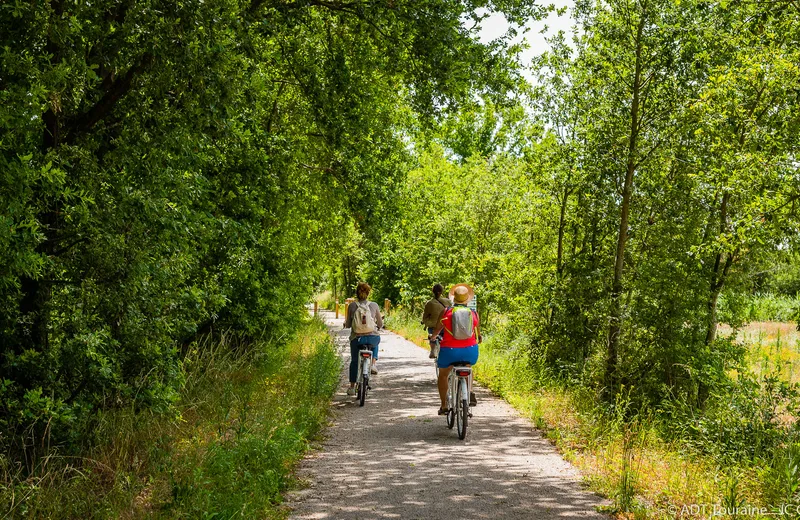 Entre vignes et Veude – Boucle vélo n°51