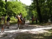 Randonnée de Printemps en Brenne