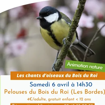 Sortie nature Le chant des oiseaux du Bois du Roi