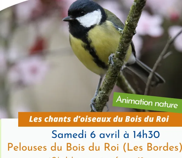 Sortie nature Le chant des oiseaux du Bois du Roi