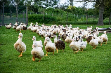 La Ferme de la Faubonnière