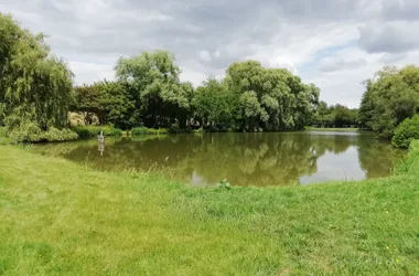 Gîte de la Viloise et la sellerie