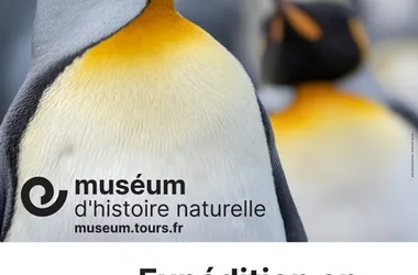 Exhibition in the Natural History Museum of Tours - Loire Valley, France.