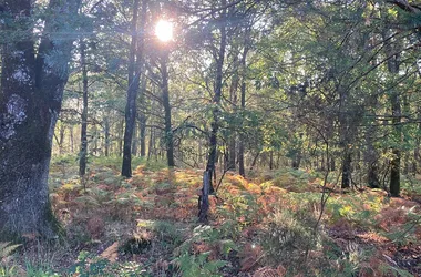 photo en dessous pas-à-pas Semblancay crédit commune de Semblançay