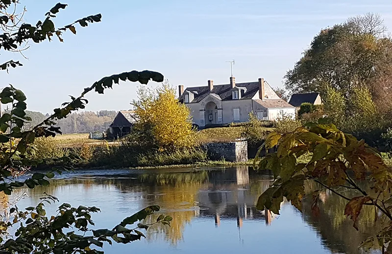 Gîte de la salamandre