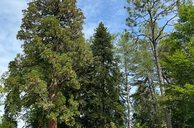 Ouverture de l’Arboretum des Barres