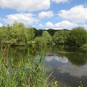 Espace naturel sensible du Grand Rozeau et des Près Blonds