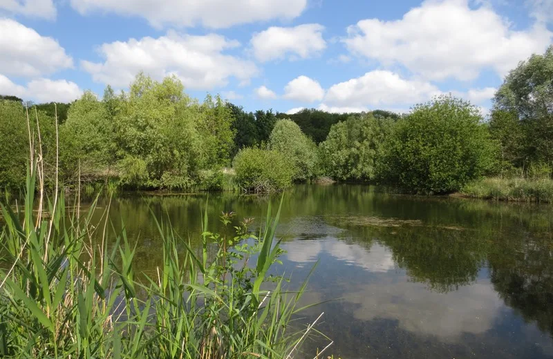 Espace naturel sensible du Grand Rozeau et des Près Blonds