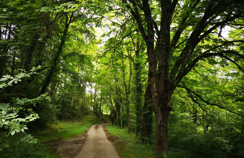 Circuit pédestre n° 90 « A la découverte d’Urciers »