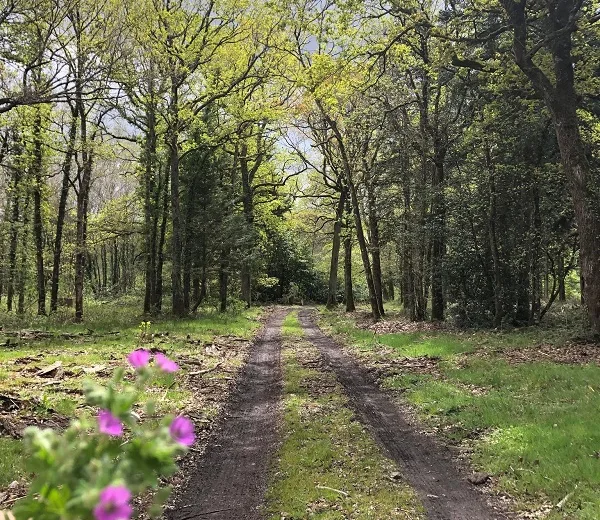 La Vallée de la Choisille – Randonnée en Nord-Touraine