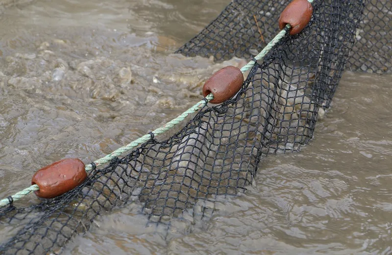 Pêche à l’étang de La Gabrière