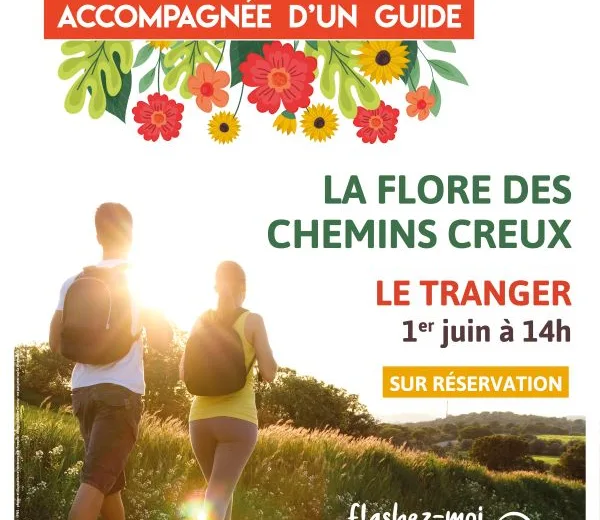 Sortie nature : Flore des chemins creux