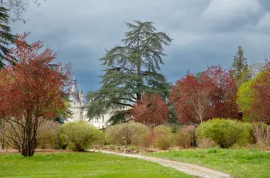 Château of Chaumont-sur-Loire