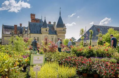 Fête des plantes et du printemps - Château de la Bourdaisière