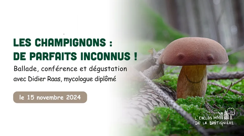 Sortie-conférence sur les champignons Le 15 nov 2024