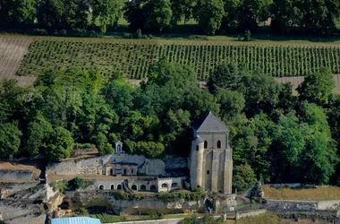 Domaine Vigneau-Chevreau - Vignes de l'Abbaye de Marmoutier