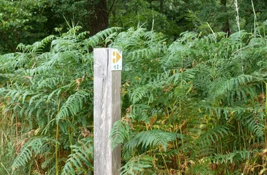 Circuit VTT de l’étang de la Vallée au Belvédère