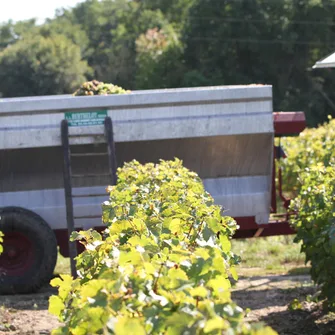 Domaine Nicolas Brunet