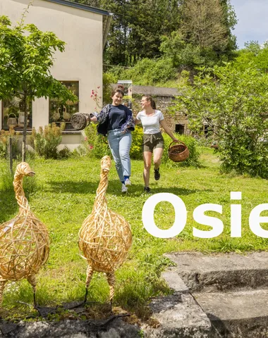 O S I E Z ! Centre d’Art autour de l’osier, Visite guidée et Atelier osier créatif