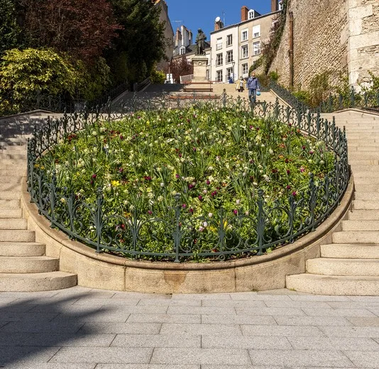 Blois – Ville d’Art et d’Histoire – Visite guidée à la découverte de Blois