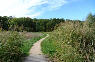 Espace naturel sensible du Grand Rozeau et des Près Blonds