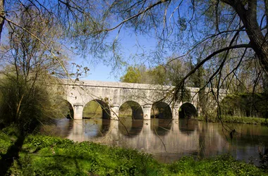 Visites guidées du Pays d’Art et d’Histoire (Cité de Saint-Aignan et alentours)