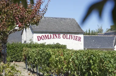 domaine-olivier-vins-saint-nicolas-bourgueil