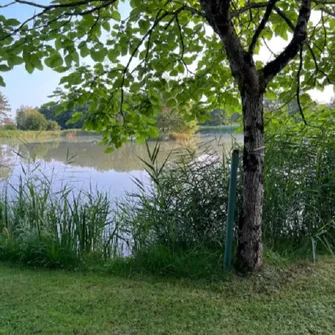 Maison avec plan d’eau Chez Anne et Jérôme