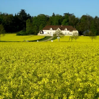 Domaine de la Maison Neuve